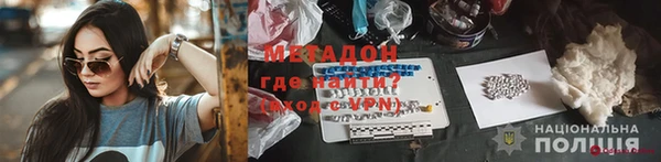 индика Козельск