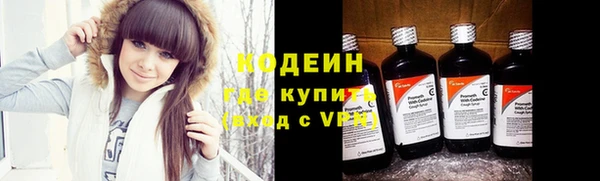 прущие крисы Корсаков