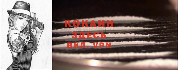 прущие крисы Корсаков