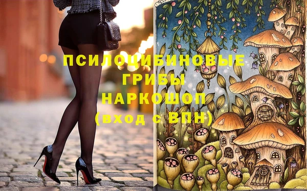 мдпв Костерёво