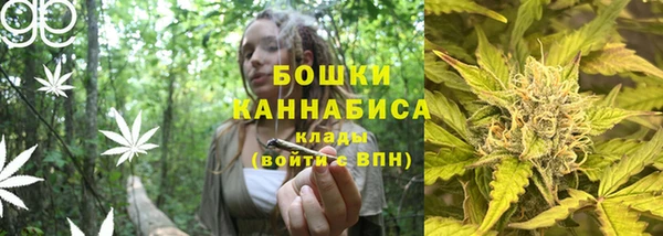мдпв Костерёво
