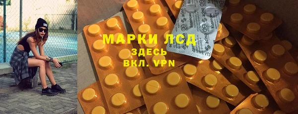индика Козельск